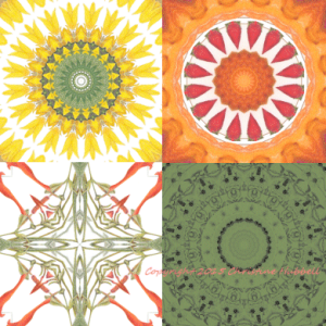 Kaleidoscope fabric images